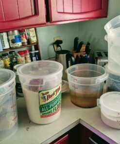 Cambro 4-Quart Round Food-Storage Container with Lid, Set of 3 4 Quart 16 81X6Hh5PsqL