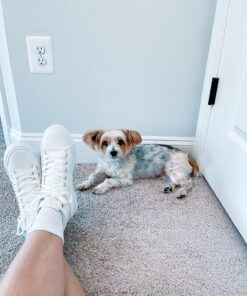 Hanes Women's Value, Crew Soft Moisture-Wicking Socks, Available in 10 and 14-Packs White - 10 Pack 5-9 32 81X7D3EZMNL