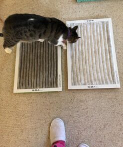 Filtrete 16x25x1 Air Filter, MPR 300, MERV 5, Clean Living Basic Dust 3-Month Pleated 1-Inch Air Filters, 6 Filters 27 81X8G9uyQfL