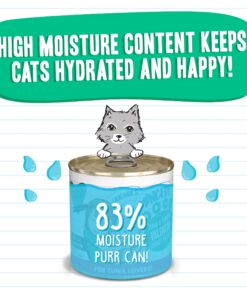 Best Feline Friend (B.F.F.) Grain-Free Cat Food by Weruva, Tuna & Pumpkin Valentine, 10-Ounce Can (Pack of 12) 10.00 Ounce (Pack of 12) 14 81X9ODkcyL