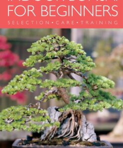 Indoor Bonsai for Beginners: Selection - Care - Training