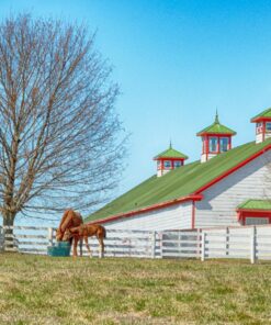 Nikon Z7 Full-Frame Mirrorless Interchangeable Lens Camera with 45.7MP Resolution, Body, Black, 1591 Body Only Base 40 81XEK QcnL