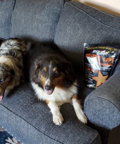 Diggin' Your Dog Firm Up Pumpkin for Dogs & Cats, 100% Made in USA, Pumpkin Powder for Dogs, Digestive Support, Apple Pectin, Fiber, Healthy Stool, 16 oz 16 oz (Pack of 1) 32 81XGQKm3hkL