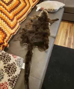 Knoblochs Deer Hunter's & Trapper's Hide & Fur Tanning Formula Multi Pack 1 40 81XH07nAyfL