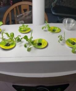 AeroGarden Salad Greens Mix Seed Pod Kit, 7 pod 34 81XKGzxqdmL