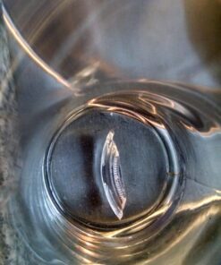 Libbey Swerve 16-Piece Tumbler and Rocks Glass Set 34 81XLMicCsaL 1