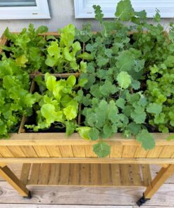 VegTrug 8 Pocket Herb Garden Brown 41 81XMnfI3R9L