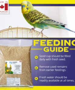 Hagen Parakeet/Budgie Staple Vme Seed, 25-Pound,Green Budgie 25 Pound (Pack of 1) 13 81XOzm254ML