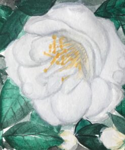 Strathmore 460-55 400 Series Visual Watercolor Journal, 140 LB Cold Press, 5.5"x8", 22 Sheets , White 5.5x8.5 Watercolor 140LB 58 81XR8uVm6L