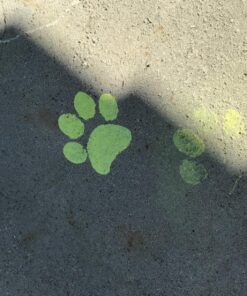 Crayola; Washable Neon Sidewalk Paint; Outdoor Art Tools; 3 Neon Paint Colors, Paint Brush, Roller and 3 Sidewalk Chalk Sticks 21 81XSiw6bGxL