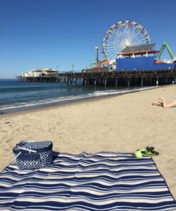 Picnic at Ascot Patented Insulated Folding Picnic Basket Cooler- Designed & Quality Approved in the USA Trellis Blue 15 81XUJScGL9L