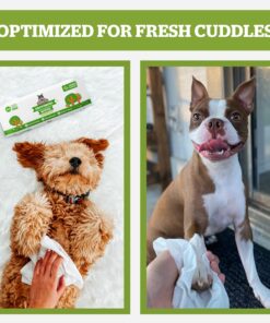 Pogi's Dog Grooming Wipes - 100 Dog Wipes for Cleaning and Deodorizing - Plant-Based, Hypoallergenic Pet Wipes for Dogs, Puppy Wipes - Quick Bath Dog Wipes for Paws, Butt, & Body - Fragrance Free 100-Count Wipes Fragrance-Free 25 81XWLmmnlzL