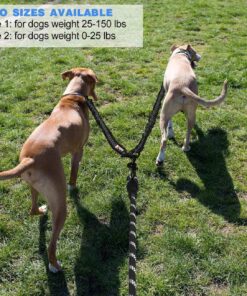 tobedri Comfortable Dual Dog Leash Tangle Free with Shock Absorbing Bungee Reflective 2 Dog Leashes for Large Medium Small Dogs Dogs weight 25-100lbs Black 14 81XayS018yL