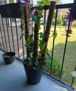 VELCRO Brand ONE-WRAP Cable Ties | 25Pk | 8 x 1/2" Black Cord Organization Straps | Thin Pre-Cut Design | Wire Management for Organizing Home, Office and Data Centers 34 81Xb84GpAmL