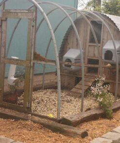 Royal Rooster Chicken Feeder and Waterer Set - Includes 1 Gallon Waterer with 2 Cups and 7lb Feeder for Chickens - Chicken Coop Accessories with Hanging Chicken Poultry Feeder and Chicken Waterer Kit 2-Cup Waterer 49 81XcS9LkJxL