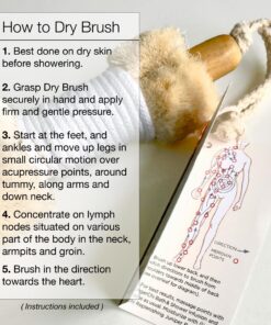 Ginger Chi Dry Brush for Skin, Dry Brushes for Body - Natural Bristle Brush for Dry Brushing Skin (Sisal Dry Brush) 17 81XdJTsvOdL