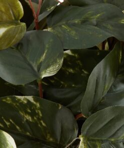 Nearly Natural 6704 Pothos with Coiled Rope Decorative Silk Plant, Green 17 12 81XdyDkIcS