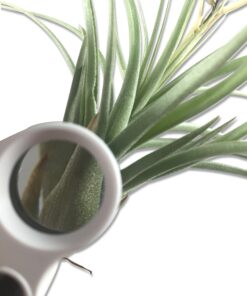 Happy Hydro - LED Loupe - 30x & 60x Magnifying Lens - Includes Batteries & Carrying Case 1 White 19 81XeTkJdXWL