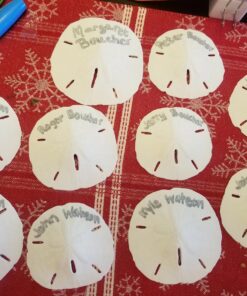 Tumbler Home White Sand Dollars 3"-3.5" - 10pcs - Wedding Seashell Craft Sandollars- Hand Picked and Professionally Packed 46 81Xev9rBS5L