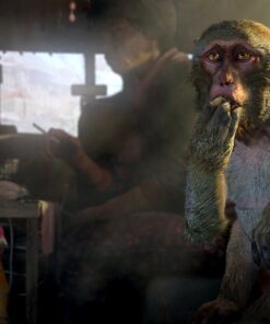 Far Cry 4 - PlayStation 3 Standard 15 81XfDD1q4qL