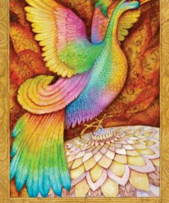 Chrysalis Tarot Cards, Box set 36 81XgzDLg3sL