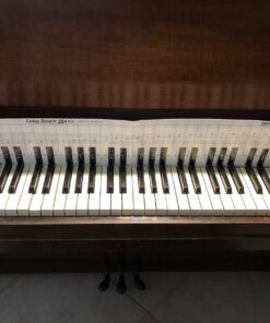 Practice Keyboard & Note Chart for Behind the Piano Keys 32 81XhqwdtprL