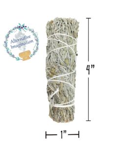 Blue Sage Smudge Sticks - Natural Incense Sticks for Cleansing Negative Energy, Meditation Accessories, Spiritual Gifts, Aromatherapy (Pack of 3) Blue Sage 3 Pack 9 81Xkptj1PoL