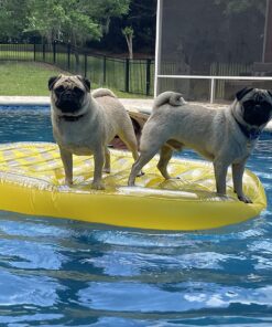 VICKEA Inflatable Pool Floats for Kids and Adults, Large Water Inflatable Pineapple Pool Float for Swimming Pool 29 81Xl3HaLqJL