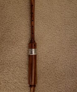 AAR Rosewood Practice Chanter with 2 Free Reeds 5 81XmEz0vfAL