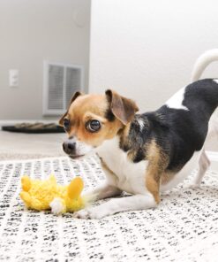 Alternative view of KONG - Plush, Low Stuffing Squeak Duck Dog Toy - Replacement Squeaker Included- For Small Dogs 1 Pack