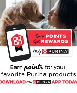 Alternative view of Purina Busy Bone Made in USA Facilities, Long Lasting Small/Medium Breed Adult Dog Chews, Peanut Butter Flavor - 6 ct. Pouch 6 Count (Pack of 1)