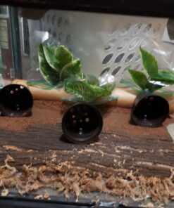 Great Stuff 283064 12OZ GS Pond&Stone Foam Sealant, Each, Black Pond & Stone 40 81XtI1osjL