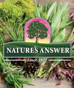 Nature's Answer Astragalus Root 1oz Extract | Promotes Overall Wellbeing | Super Concentrated 2000mg | Alcohol-Free, Gluten-Free, Kosher Certified & No Preservatives | Single Count 1 Fl Oz (Pack of 1) 15 81XxU20reqL 1