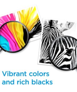 HP 61XL Black High-yield Ink | Works with DeskJet 1000, 1010, 1050, 1510, 2050, 2510, 2540, 3000, 3050, 3510; ENVY 4500, 5530; OfficeJet 2620, 4630 Series | Eligible for Instant Ink | CH563WN 11 81Xyb4rlNOS 13