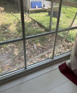 Prime-Line U 9809 Sliding Window Lock for Vinyl Windows – Easy Installation to Keep Windows Securely Closed – Diecast Construction, White (2 Pack) 1/2 in. 33 81XzU4Ll nL