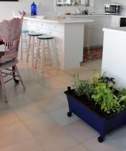 Emsco Group 2370 Hydropickers Compact 24” x 20” Footprint – Mobility Provided by Casters Non-Electric Hydroponics Grow Box, Cobalt Blue 9 81XzXUbsoyL