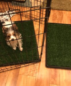 Artificial Grass Puppy Pee Pad for Dogs and Small Pets - 20x25 Reusable 3-Layer Training Potty Pad with Tray - Dog Housebreaking Supplies by PETMAKER Medium 3-Layer System 39 81Y WkcMSTL
