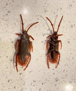 Cooplay 20PCS - Fake Roaches Prank - Cockroach Bugs Look Real Black Red 28 81Y1cGX4rBL