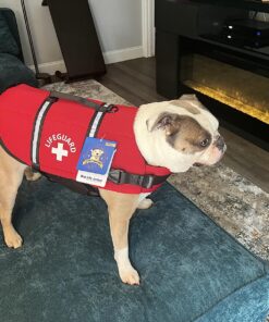 Paws Aboard Dog Life Jacket - Keep Your Canine Safe with a Neoprene Designer Life Vest - Perfect for Swimming and Boating - Red, Medium 21 81Y3Qa2jdqL