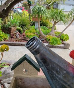 Behrens 2-1/2-Gallon 210 Steel Watering Can, Silver 19 81Y5CcC5pL