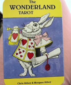 The Wonderland Tarot in a Tin 24 81Y6mhlpcZL