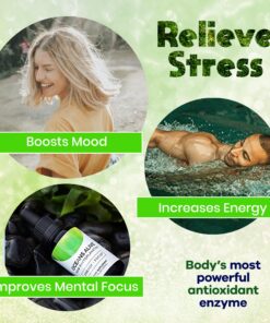 Oceans Alive Marine Phytoplankton by Activation Products, 1 Month Supply, Organic Saltwater Algae Oil Memory and Focus Mineral Trace Supplements - Microalgae Oil for Energy and Stress - 30 ml 10 81Y7He2JukL