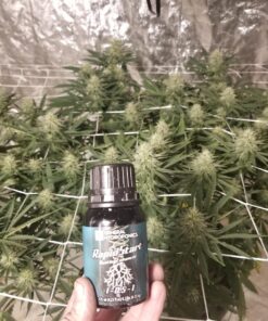 General Hydroponics RapidStart, Plant Food, 1-0.5-1, 125 mL. 40 81Y87LOAvyL