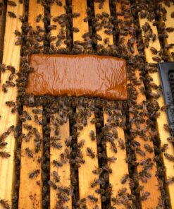 Mann Lake Bee-Pro Patties with Pro Health, Ready-to-Feed High Protein Pollen Substitute, Beekeeping Supplies, 10 lb 10 Pound (Pack of 1) 28 81YDmugW 5L