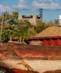 Nikon AF-P NIKKOR 70-300mm f/4.5-5.6E ED VR Fixed Zoom Digital Slr Camera Lens, Black 70 81YFo8zKbzL