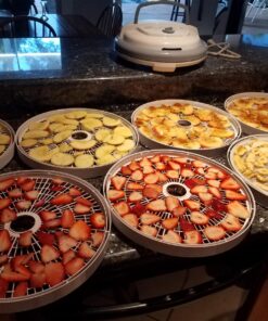 NESCO FD-75A Snackmaster Pro Food Dehydrator, For Snacks, Fruit, Beef Jerky, Gray 60 81YHJ18HL L