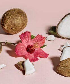 SheaMoisture Shampoo Curl and Shine for Curly Hair Coconut and Hibiscus Paraben Free Shampoo 13 oz 46 81YK2jussNL