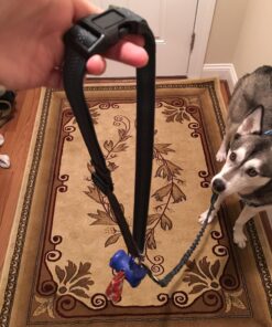 Tuff Mutt Hands Free Dog Leash For Running That Makes A Great Waist Leash for Dog Walking, Double Handle Bungee Leash with Reflective Stitching and Adjustable Dog Walking Belt green/gray 35 81YOorTZjHL