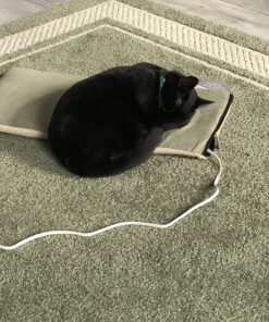 K&H Pet Products Heated Thermo-Kitty Mat, Indoor Heated Cat Bed, Pet Heat Pad for Indoor Cats and Small Dogs, Cat Heating Pad, Electric Thermal Warming Cat Bed Mat, Sage/Tan 12.5 X 25 Inches Pet Bed 46 81YQb7AtyL