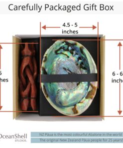 Natural Abalone (Pāua) Shell, with Stand,6-6.5 Inches,Supreme for Smudging,Cleansing Home,Meditation,Shell Crafts,Incense Holder,100% Natural, Sustainably Sourced by Ocean Shell Studios NZ 6"-6.5" 22 81YQjCndJvL